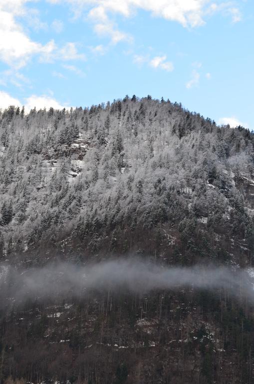 Vila Bauernhof Koenig Anger  Exteriér fotografie