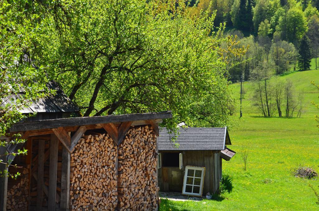 Vila Bauernhof Koenig Anger  Exteriér fotografie